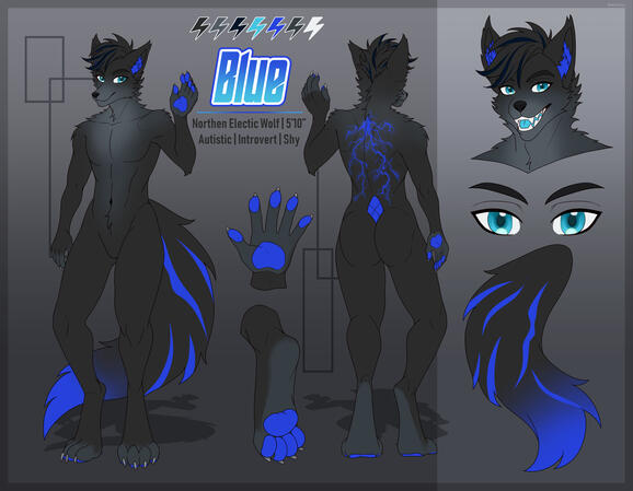Blue's Reference Sheet Blue's Reference Sheet
