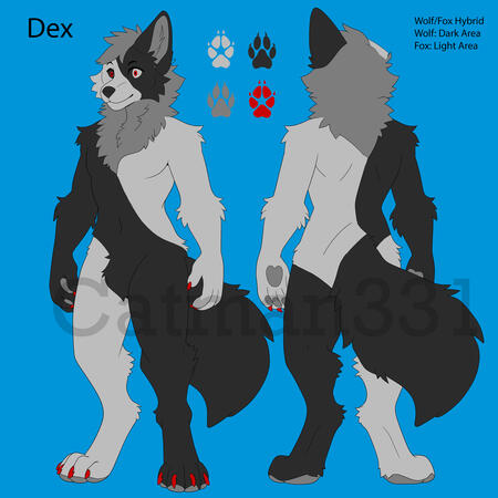 Dex's Reference Sheet